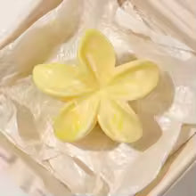 French Hair Clip